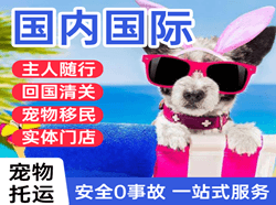 和田昆冈机场货运国际宠物托运 【国